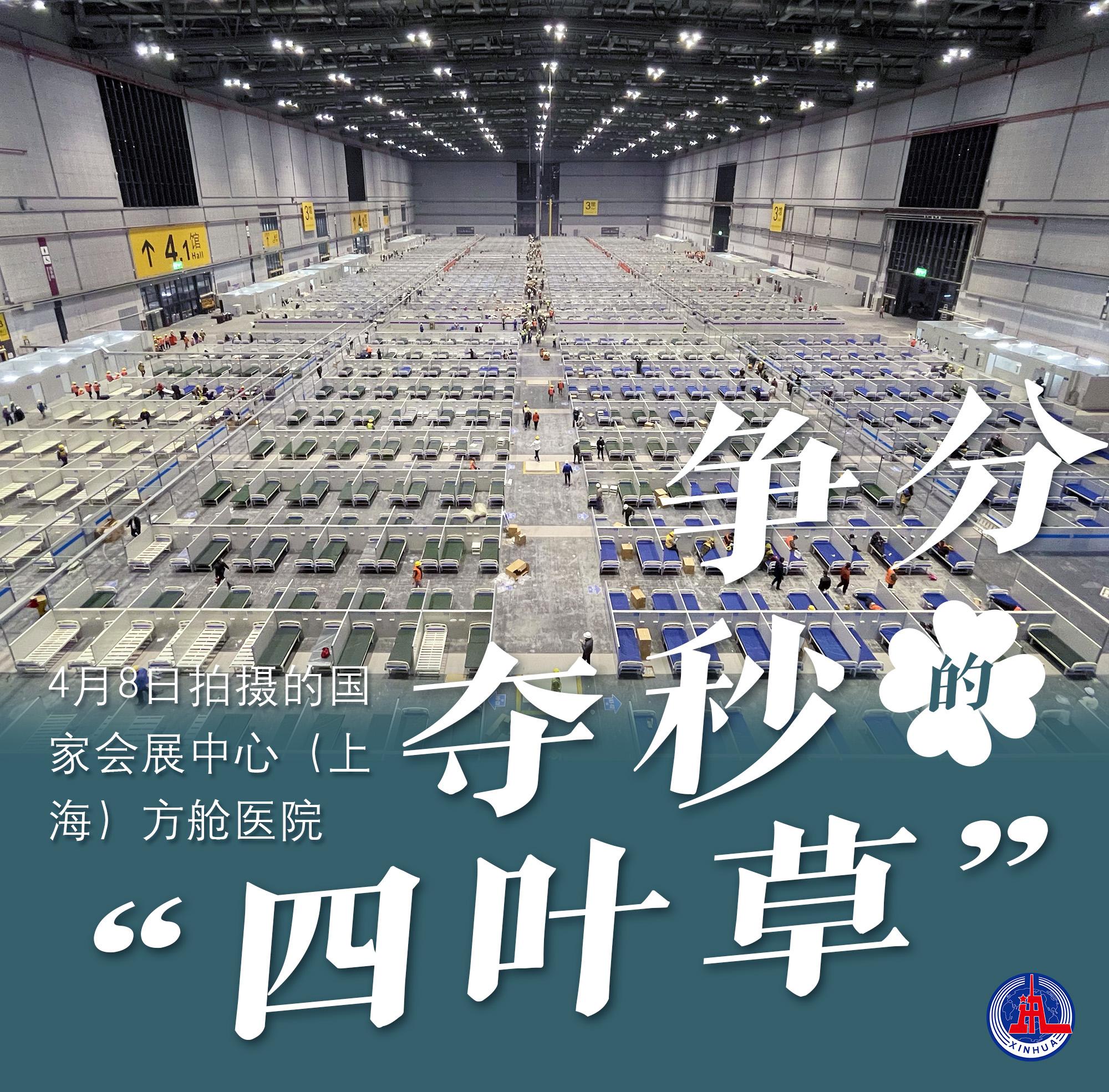 全球疫情最新数据图表解析及趋势分析