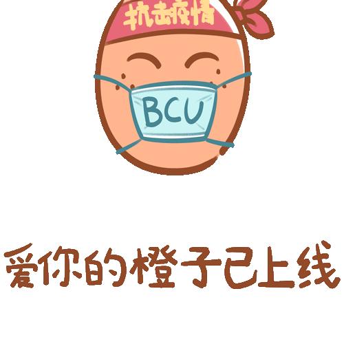 甘肃疫情封路最新动态全面解读
