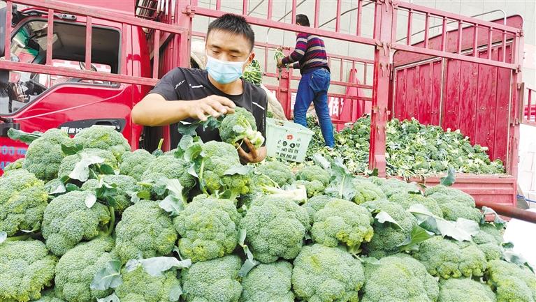甘肃兰州疫情最新动态更新
