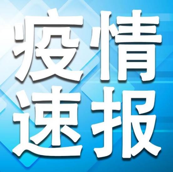 疫情最新动态，贵州新闻网携手共筑防线，抗击疫情关键时刻