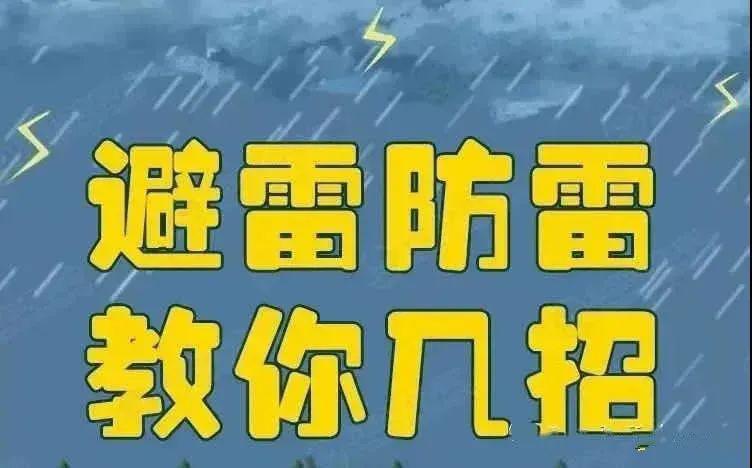 贵州疫情数据透明发布，共筑防线，守护家园