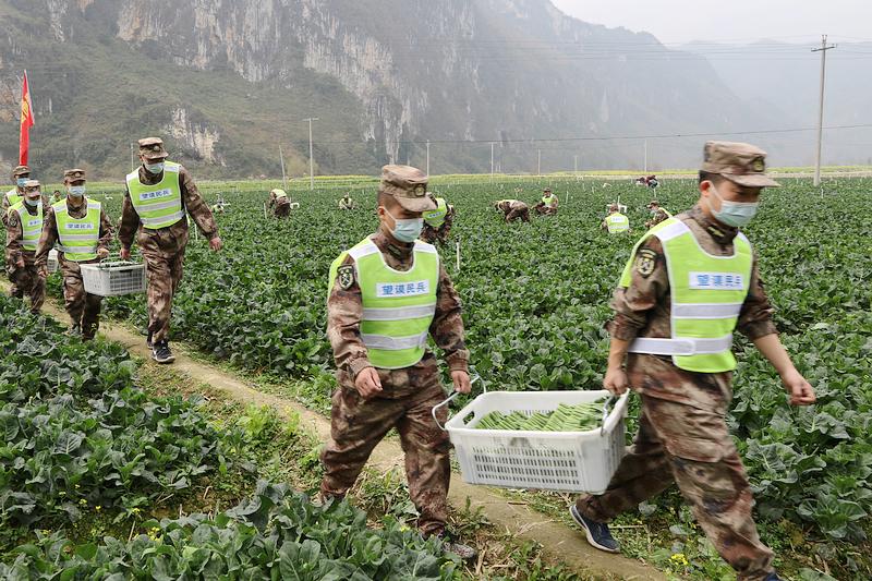 最新疫情动态及贵州新闻概述
