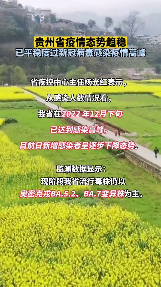 贵州疫情最新数据消息，坚定信心，共克时艰