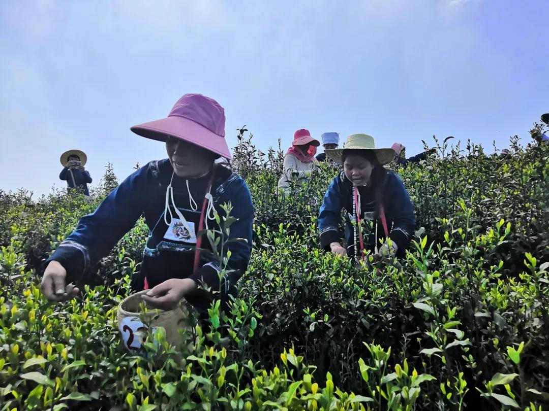 贵州疫情最新数据图解析