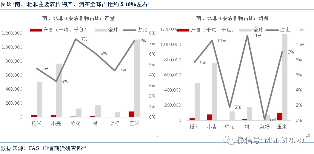 全球疫情最新排名数据深度解析
