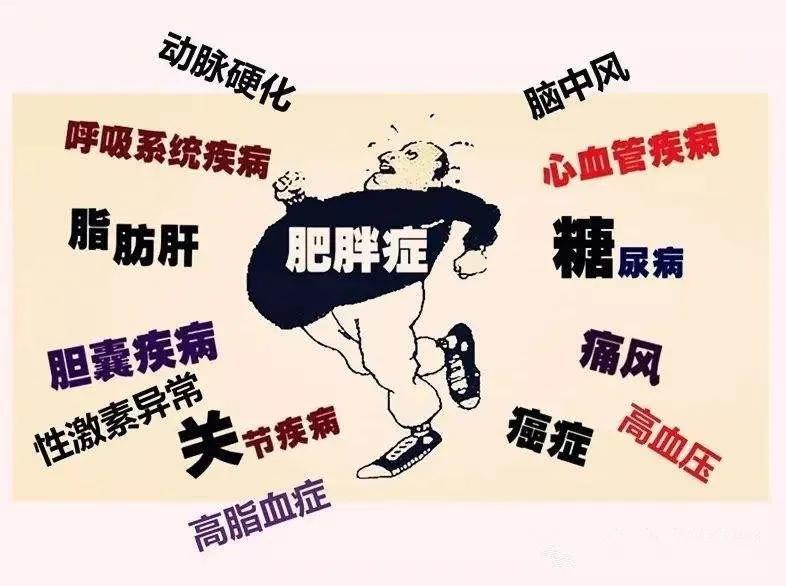 全球疫情最新数据揭示挑战与希望的并存，人口动态与防控进展报告