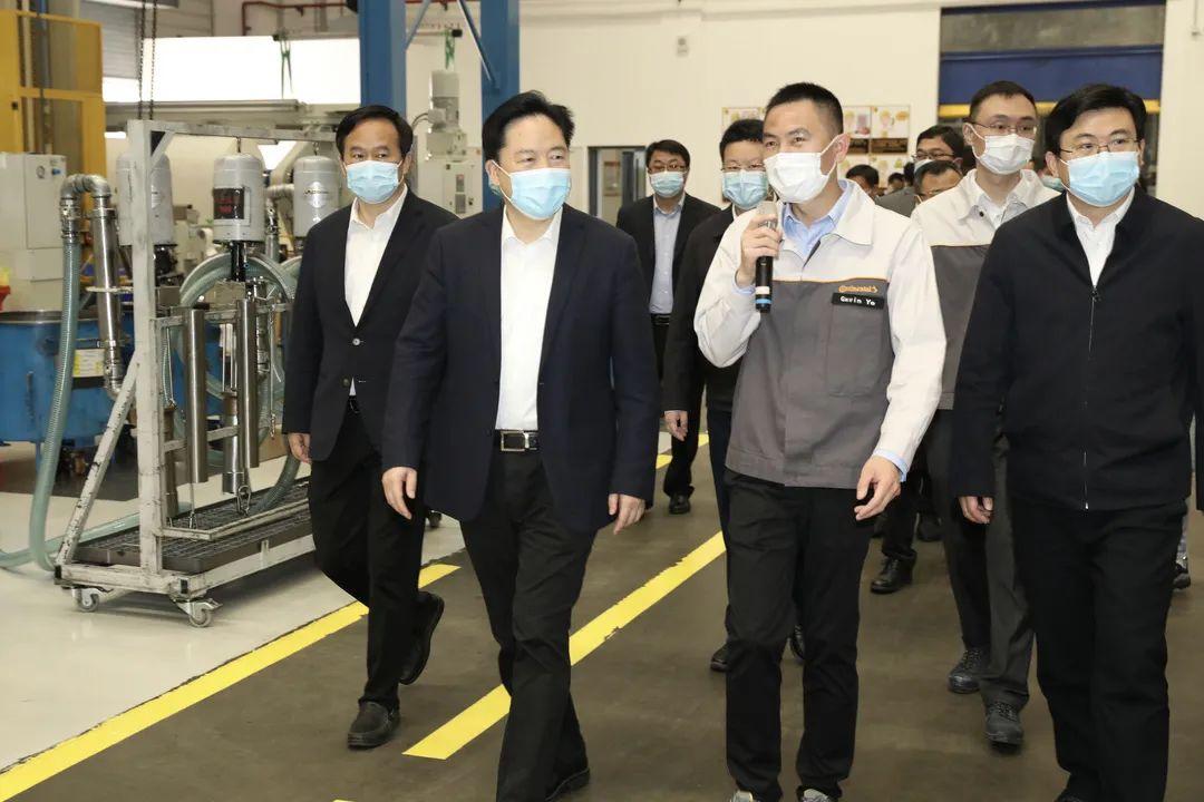 全球疫情最新动态与排名分析