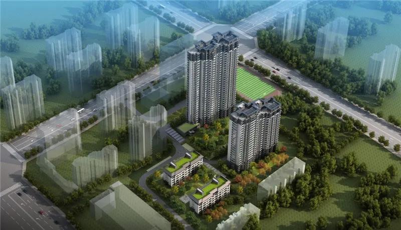郑州疫情最新数据深度解析报告