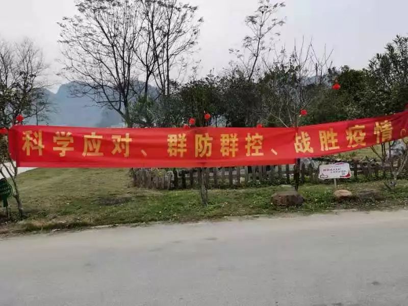 郑州疫情动态，坚定信心，携手共克时艰