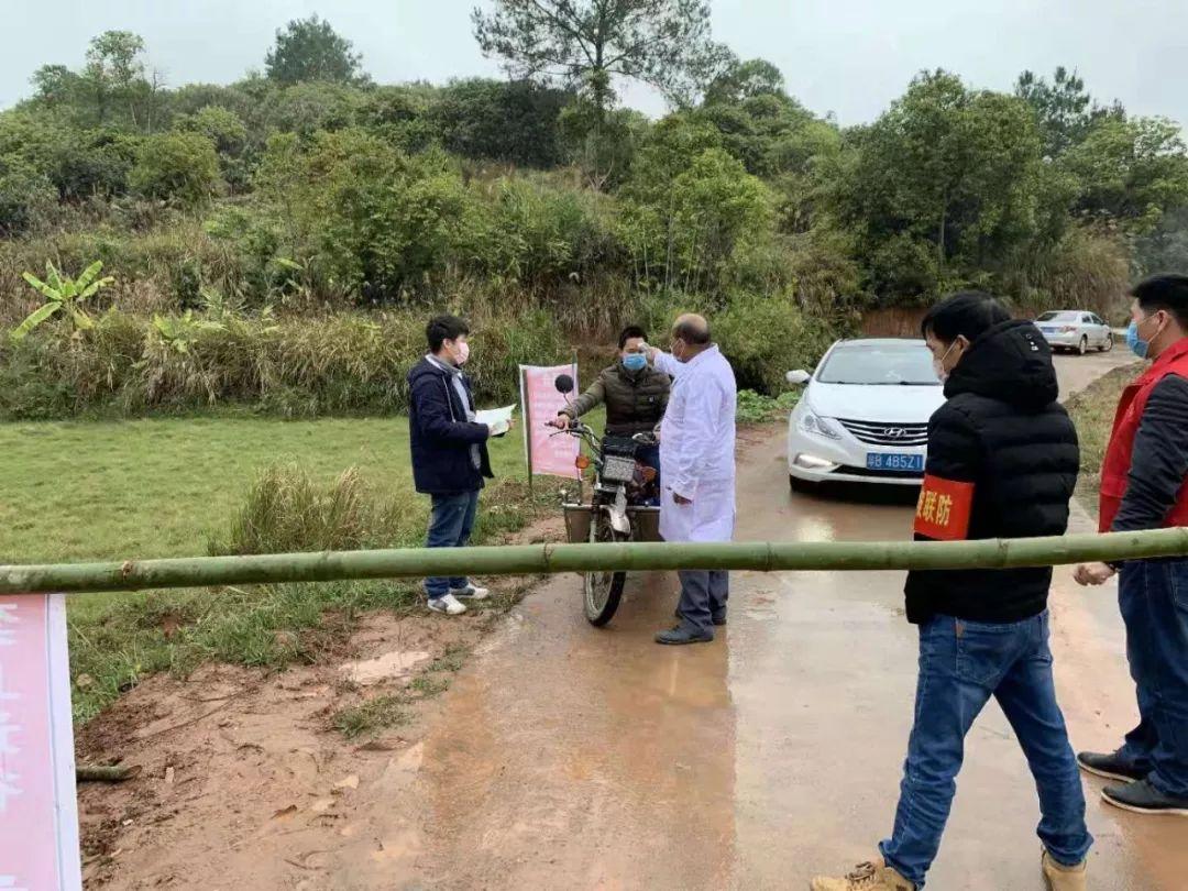 郑州疫情最新动态，坚定信心，共克时艰