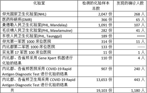 国内最新疫情死亡人数报告详解