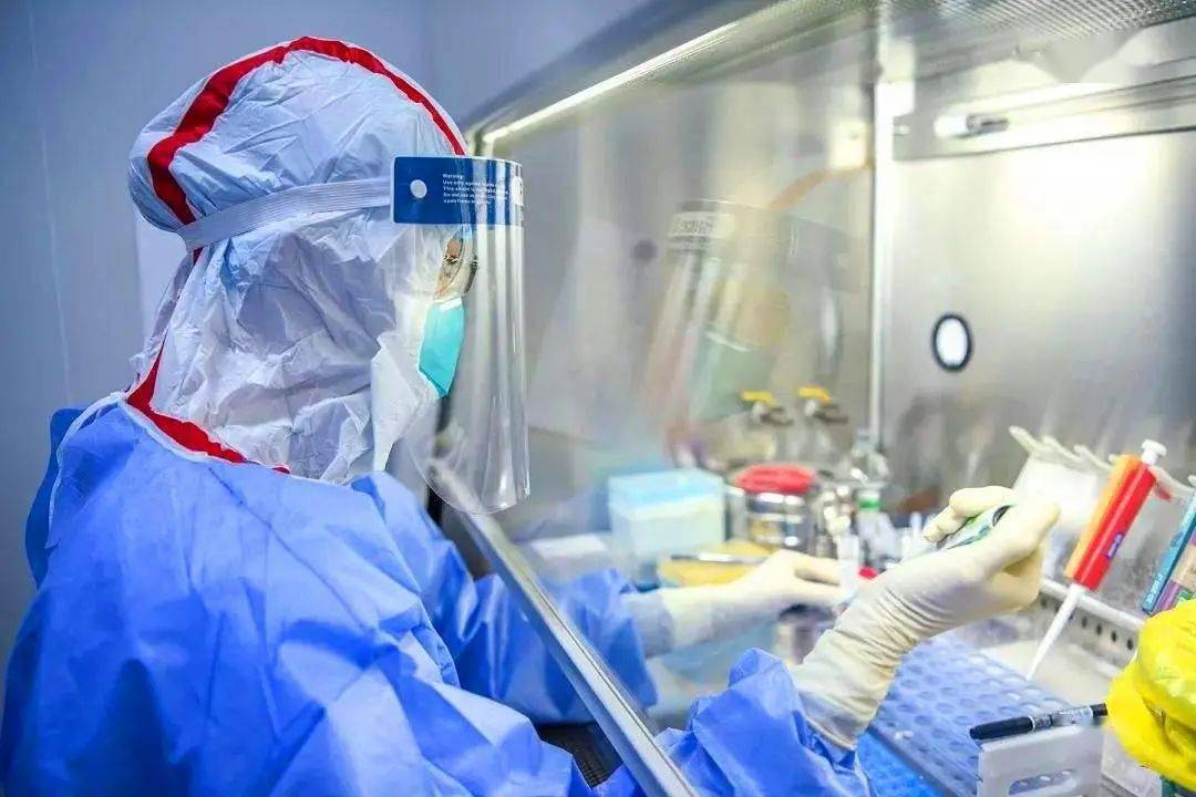 中国疫情最新数据消息与地图动态分析报告