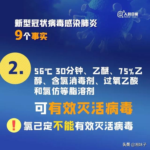 全球疫情蔓延真相，每日新增走势图揭示真实面貌与应对策略