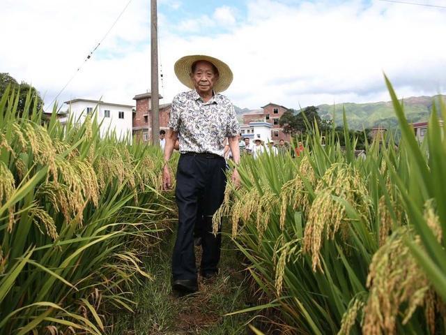 全球疫情实时更新，最新消息与数据汇总