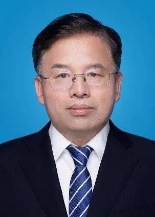 全球疫情最新动态，全球共同应对挑战