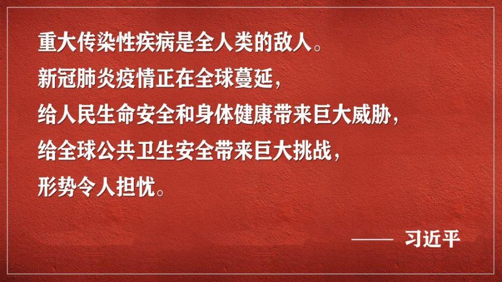 全球疫情最新数据公布，中国抗疫进展与全球合作动态更新