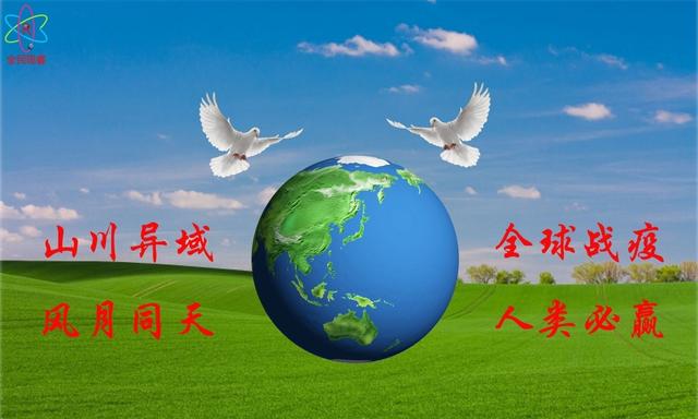 全球疫情实时更新数据新闻网，动态与深度解析报告