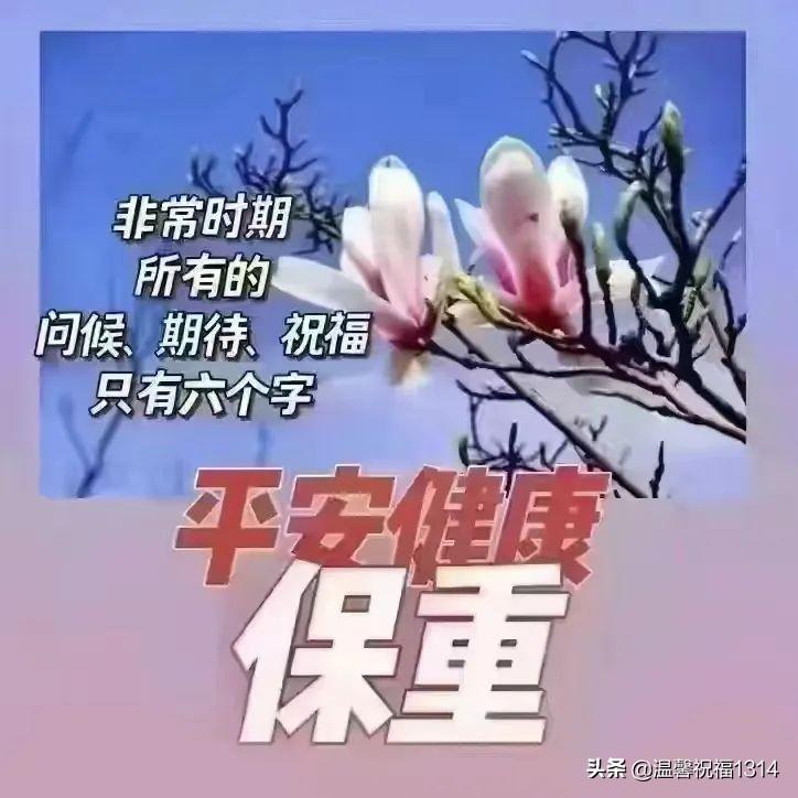 全球疫情最新动态公布数据与中国抗疫进展