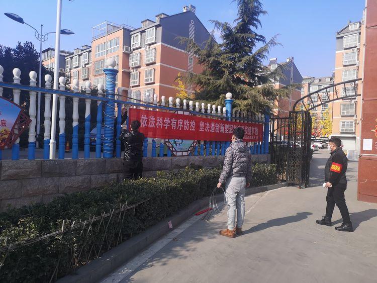 全球疫情最新排行榜图片，揭示现状，共同抗击病毒威胁