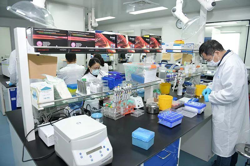 全球疫情最新动态数据图片汇总，揭示新冠病毒全球扩散与影响