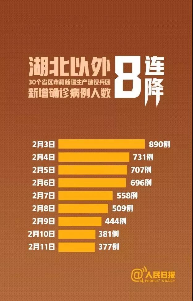 疫情最新动态，聚焦2月6号及后续发展态势