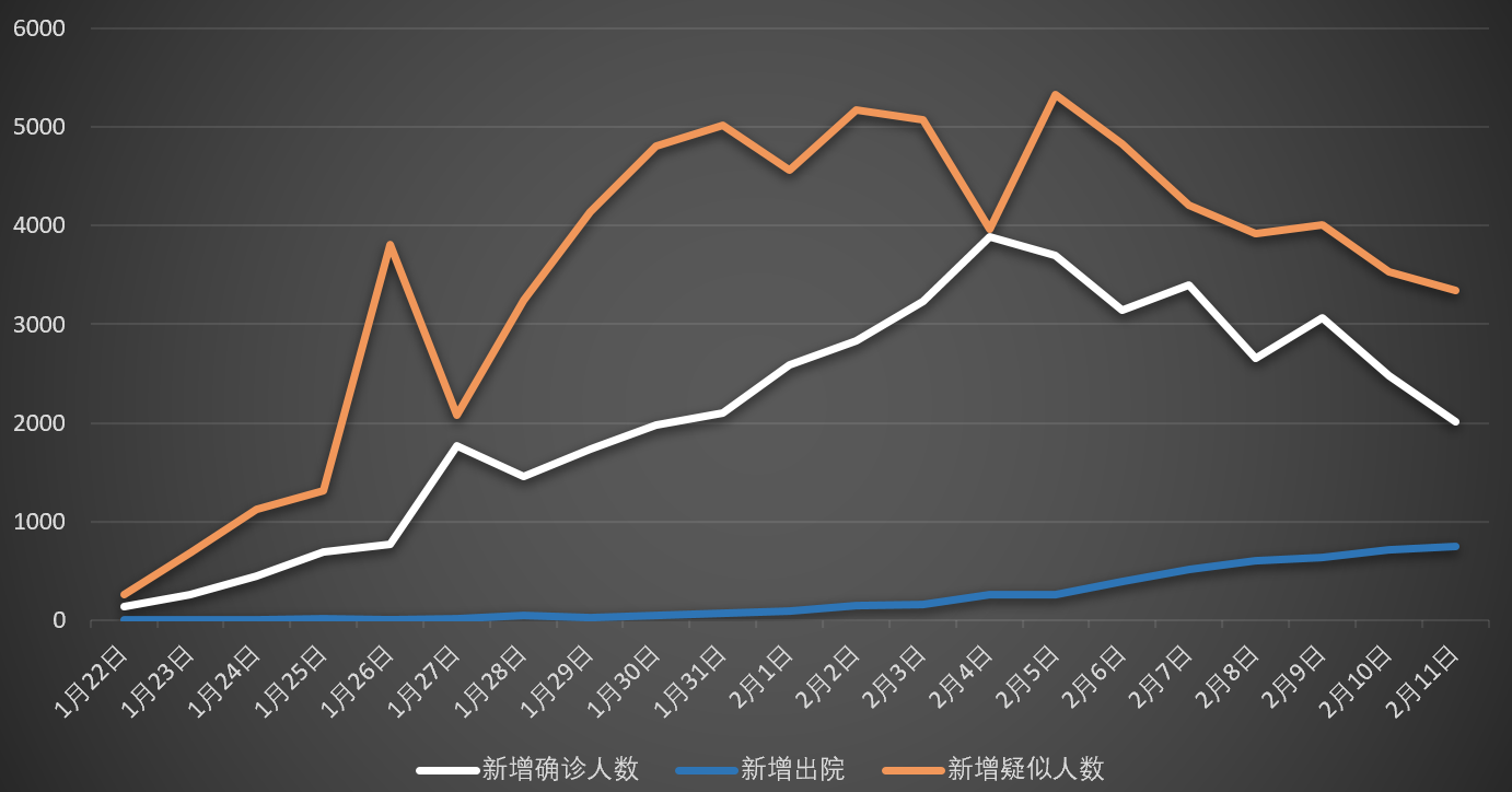 疫情数据可视化，揭示数字背后的真相与曙光