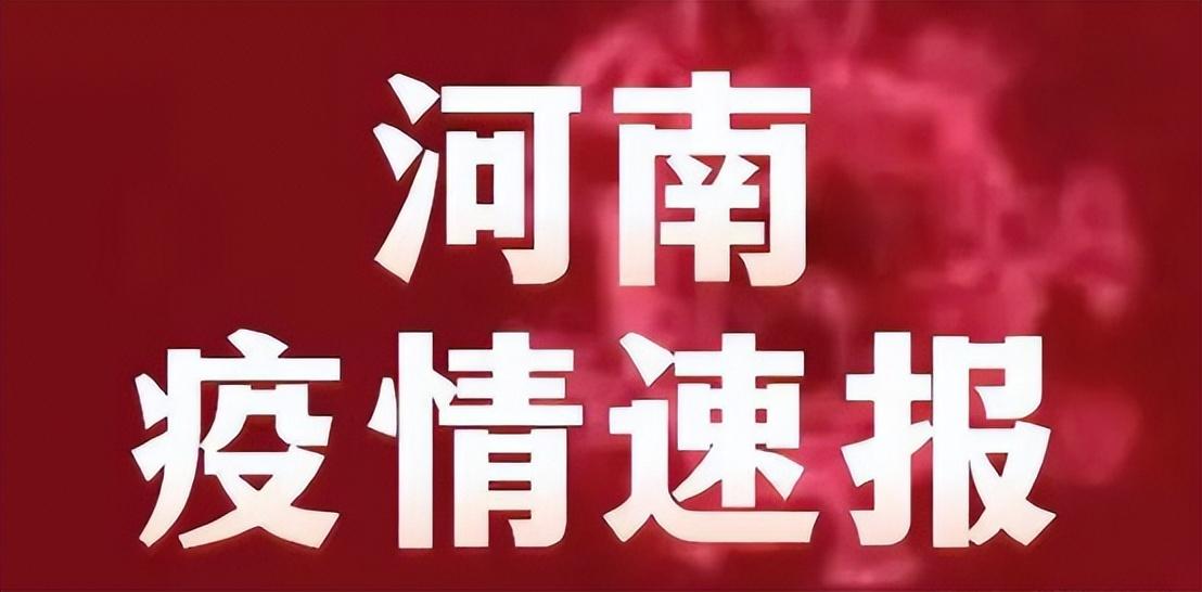 疫情数据揭示真相与挑战，数据背后的故事