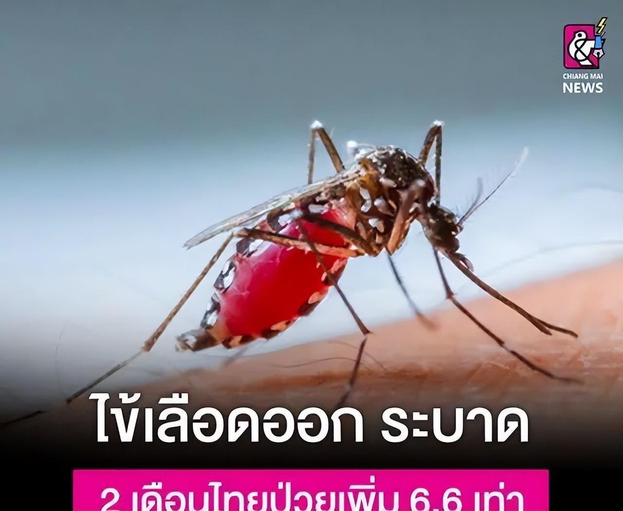 全球疫情最新动态深度解析报告