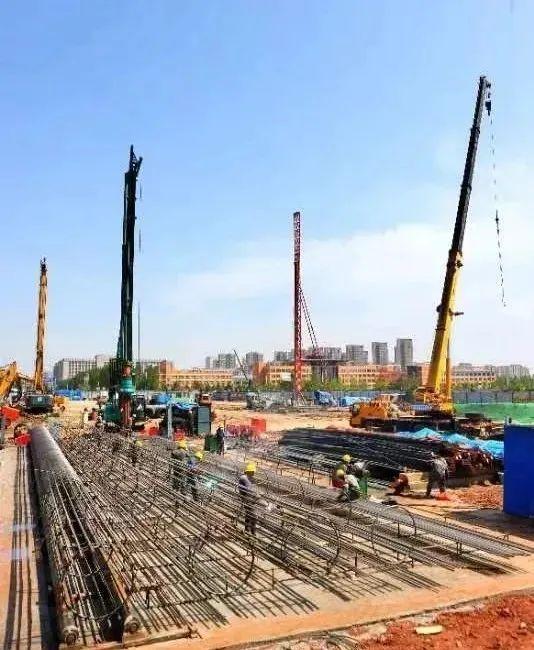 全球疫情最新动态报告，2024年8月概览