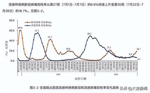 中国疫情开放时间表图片，解读与前瞻