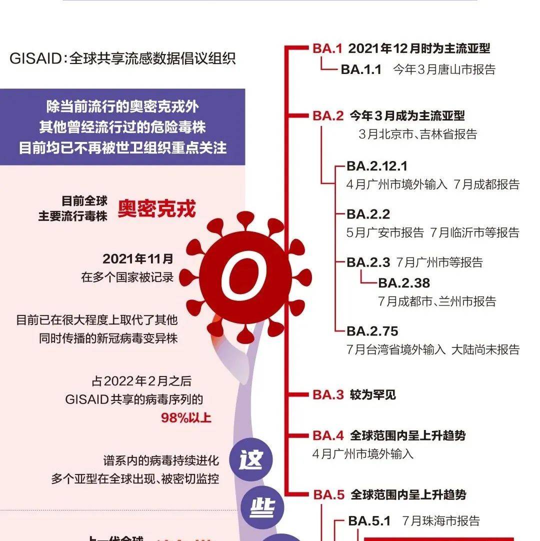 中国疫情全面开放时间表，重塑防控策略与未来展望展望