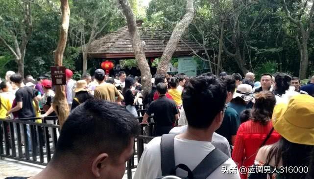 疫情之下旅游业的复苏与开放之路探讨，开启时机何在？
