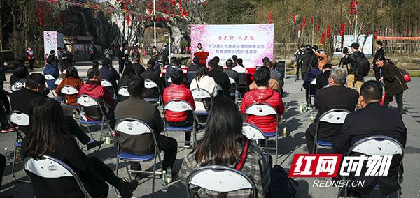 疫情之下旅游业的复苏与开放之路探讨，开启时机何在？