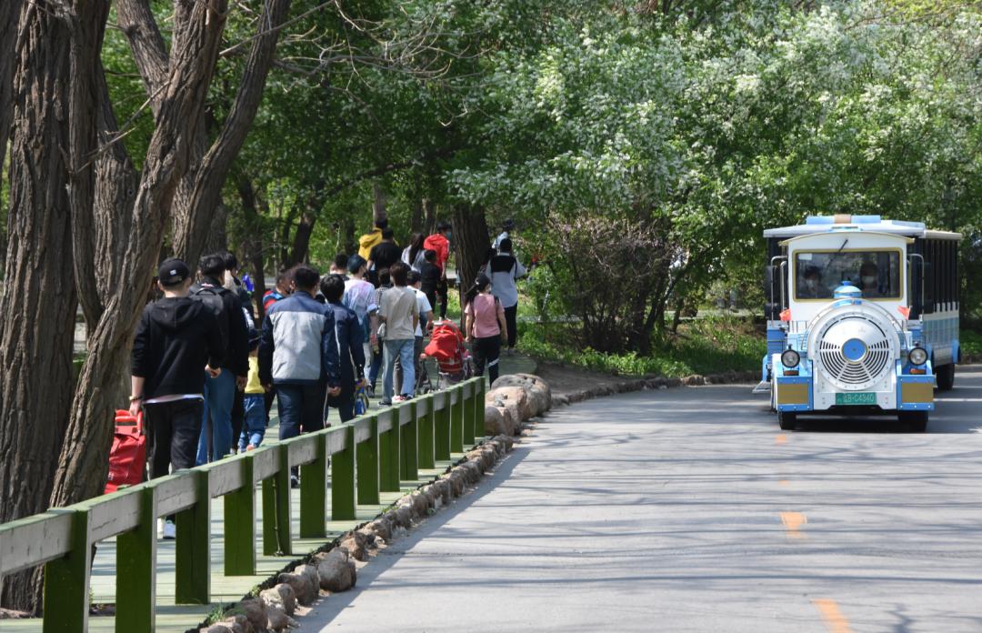疫情后的旅游复苏之路，探寻未来的旅游之路