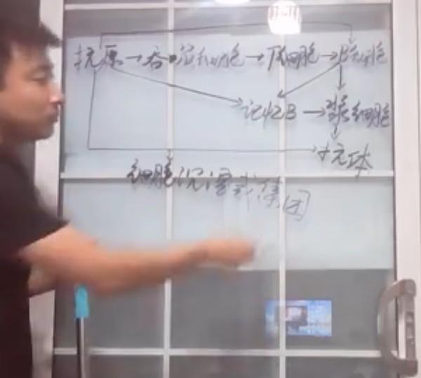 疫情后的旅游新纪元，重燃旅游之火期待绽放光彩