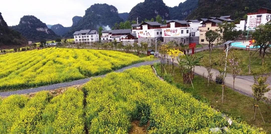 春暖花开之时，疫情终将过去