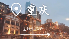 疫情结束时间与未来探寻，希望之光照亮前行之路