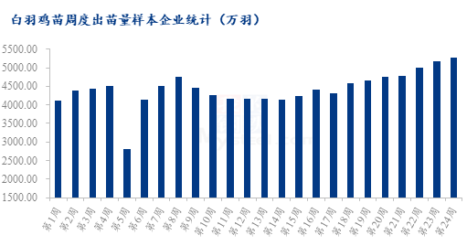 北京疫情解封时间预测及相关因素探讨