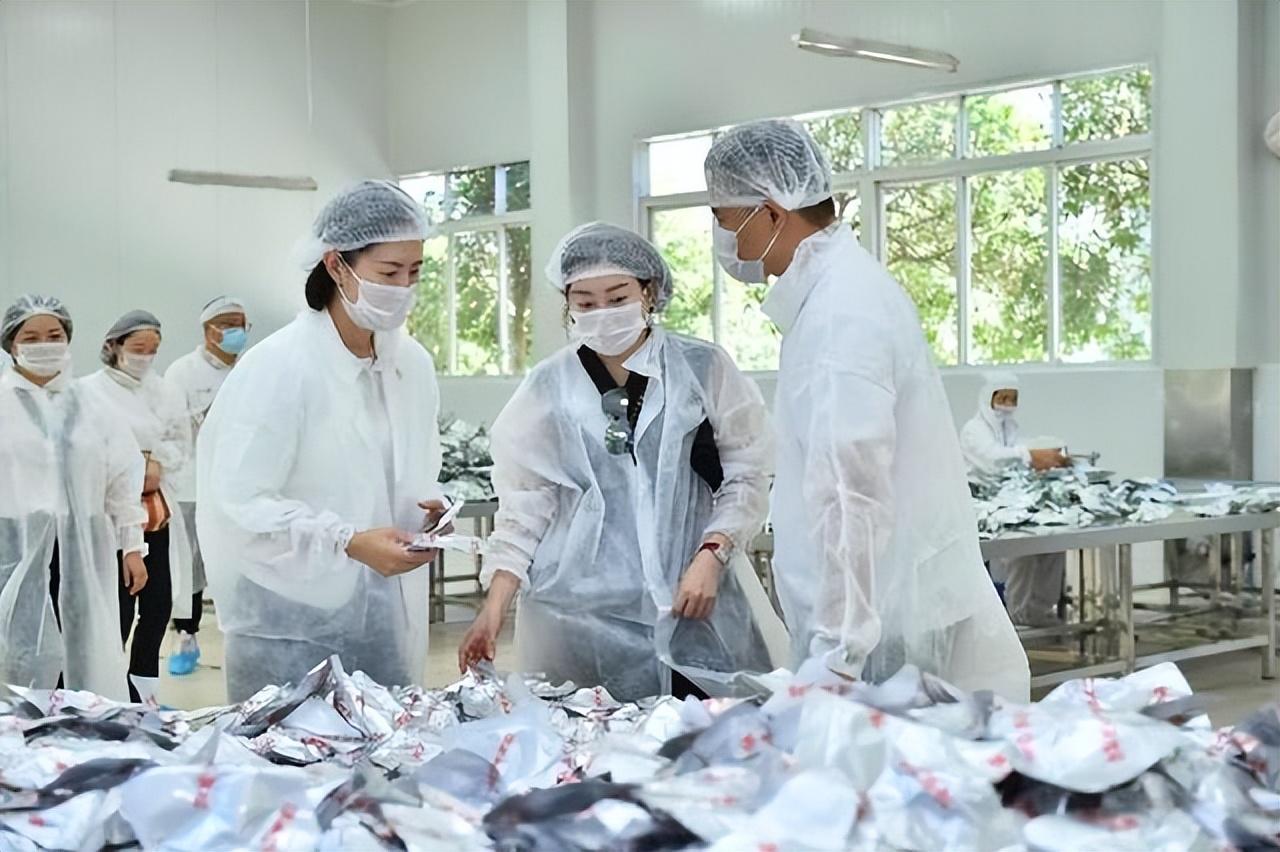 中国疫情结束时间预测与未来之路探寻