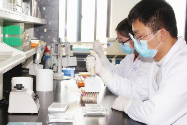 中国疫情结束时间预测与未来之路探寻