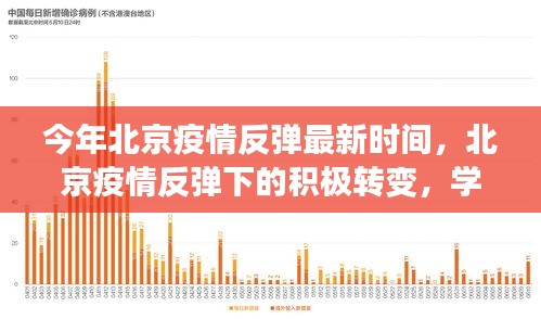 疫情初始时刻，回顾与反思