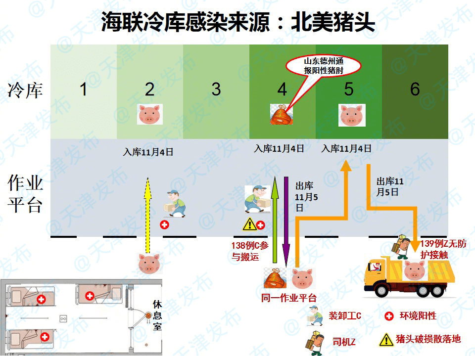 中国疫情起源发展与探寻始末