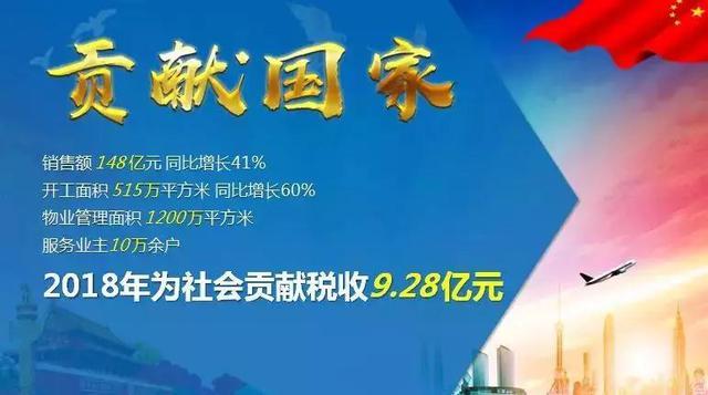疫情后的国门开启策略，展望未来开放之路的新篇章