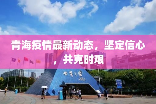 青海省政府透明公开疫情公告，共克时艰战疫情