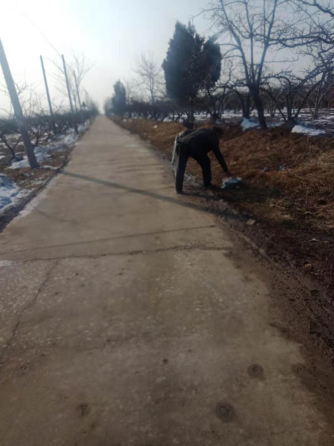 疫情下的陕西省合阳县，挑战与应对策略