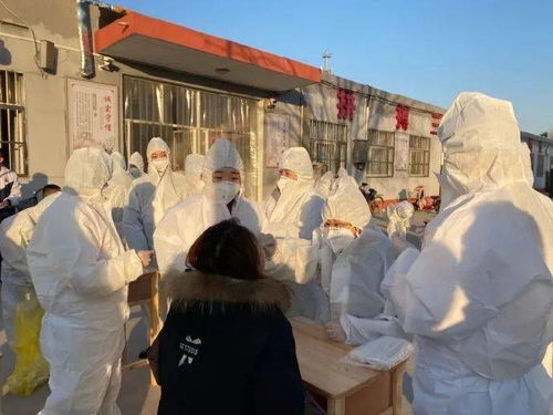 疫情下的石家庄生死考验与应对策略