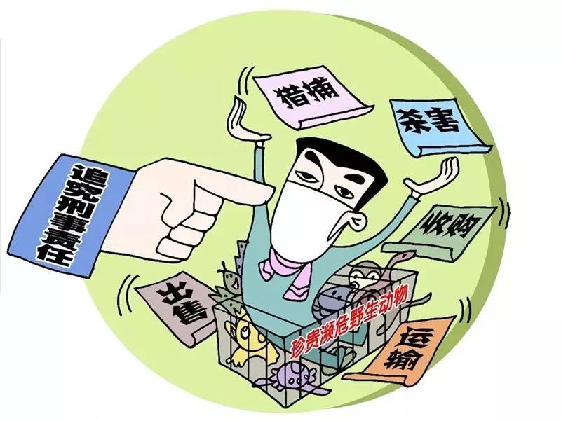 黑龙江省疫情区，挑战、应对与未来展望