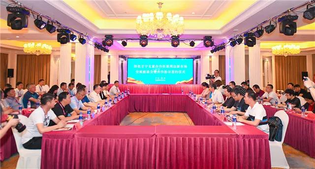 宁夏回族自治区疫情防控政策的创新与实践，守护塞上江南的健康防线