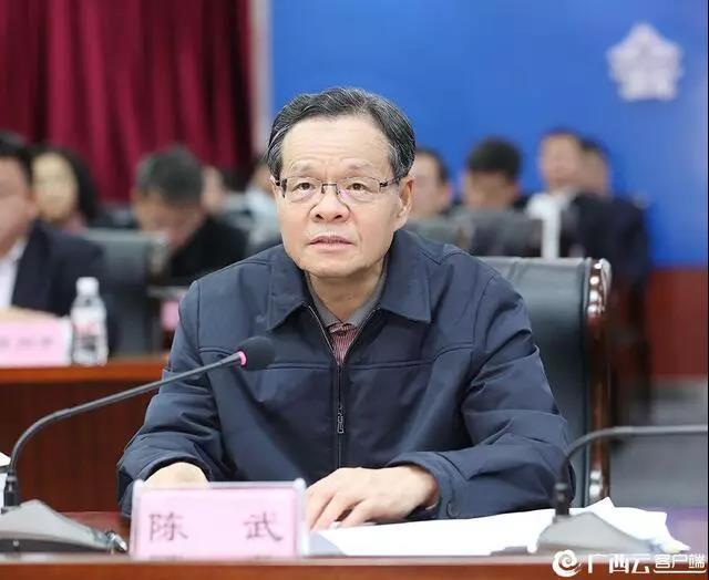 广西壮族自治区疫情现状，防控成效与未来挑战
