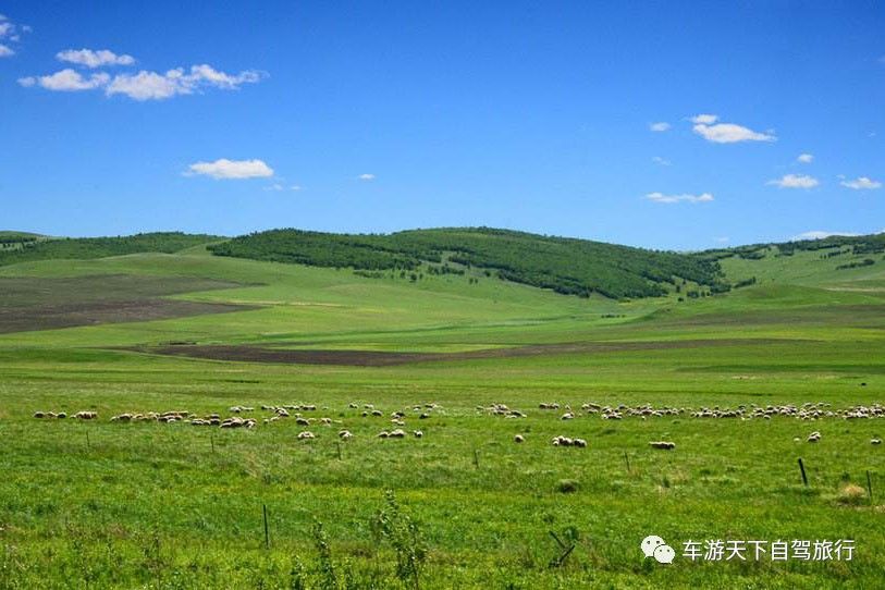 从壮乡到草原,广西与内蒙古呼和浩特的千里之遥 从壮乡到草原,广西与内蒙古呼和浩特的千里之遥